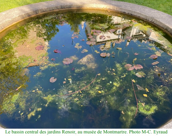 Bassin Renoir